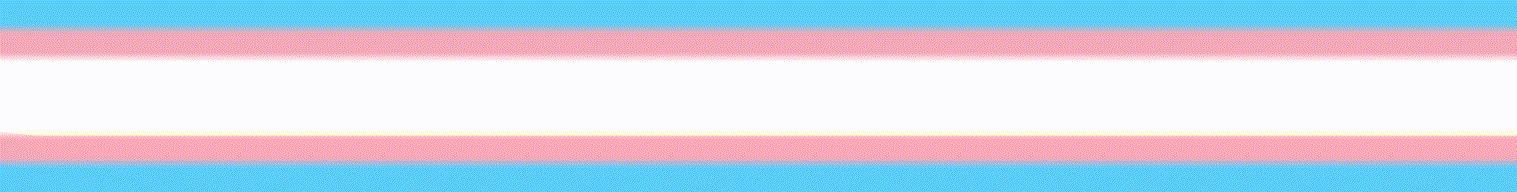 Trans Rights are Human Rights